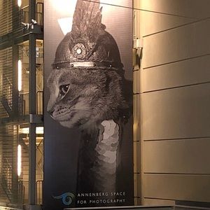 Meet your Posher, Fujiyo